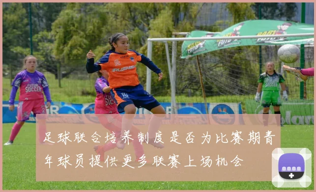 足球联合培养制度是否为比赛期青年球员提供更多联赛上场机会