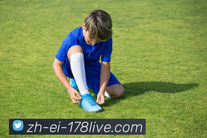 178体育直播APP 封面图